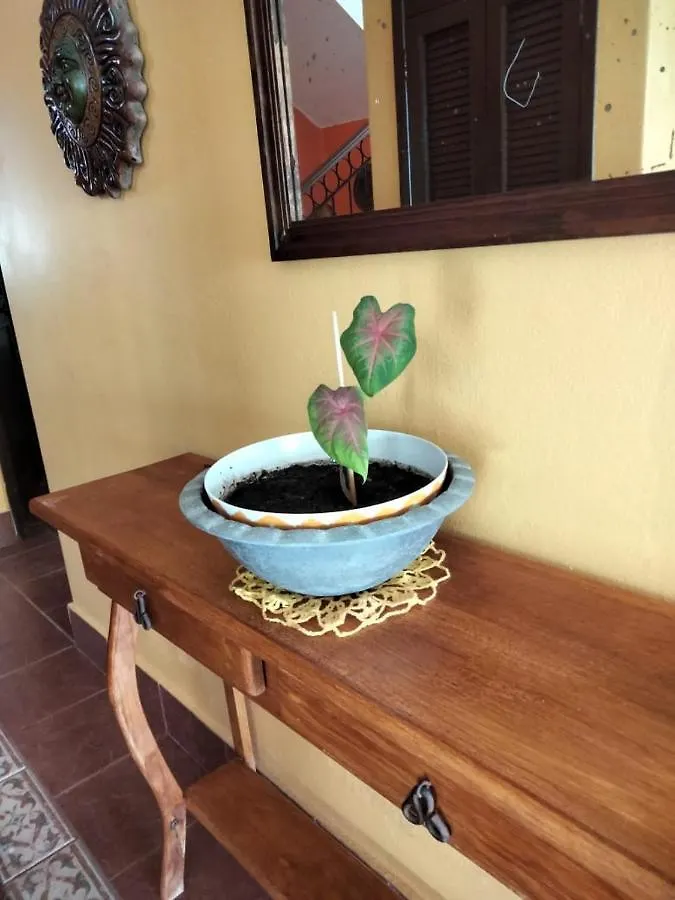 Casa Niwinski Puerto Morelos 0*,